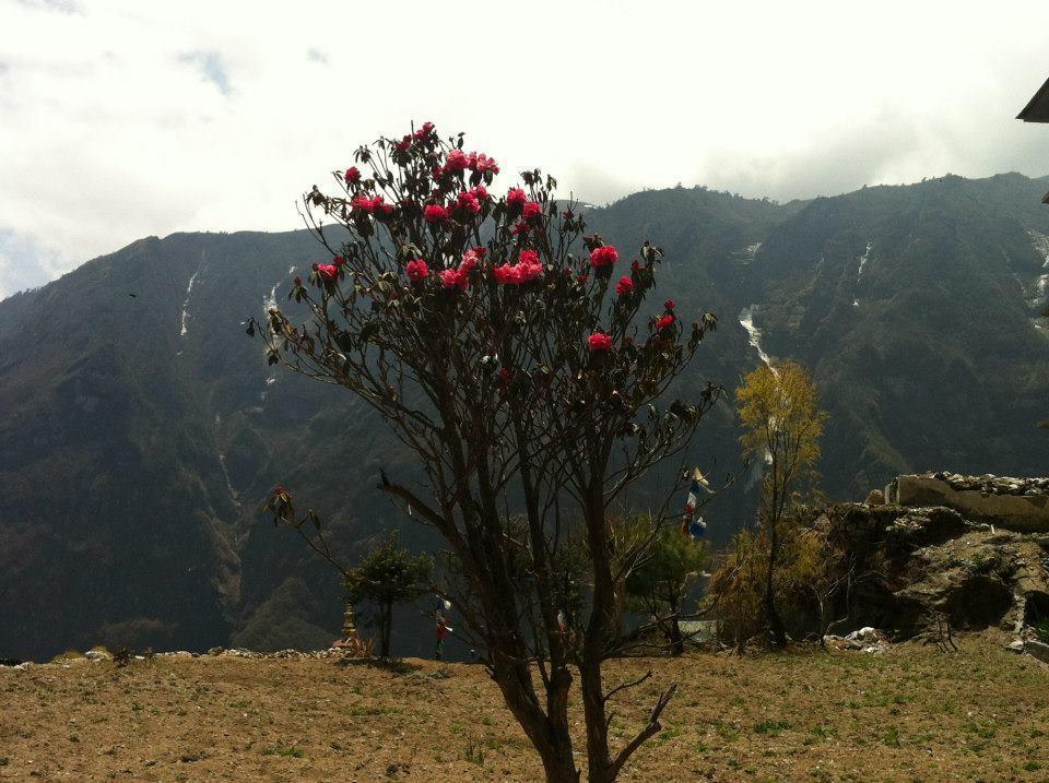 Hotel Namche Nāmche Bāzār エクステリア 写真